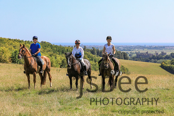 JOB_5349