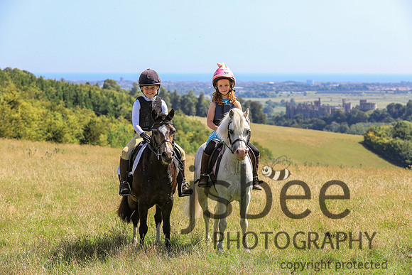 JOB_5383