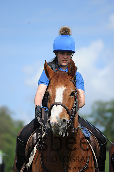 dsc_4188k