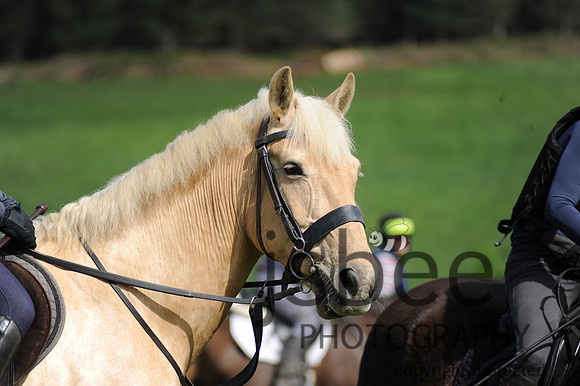 dsc_4222k