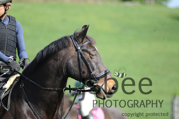 dsc_4224k