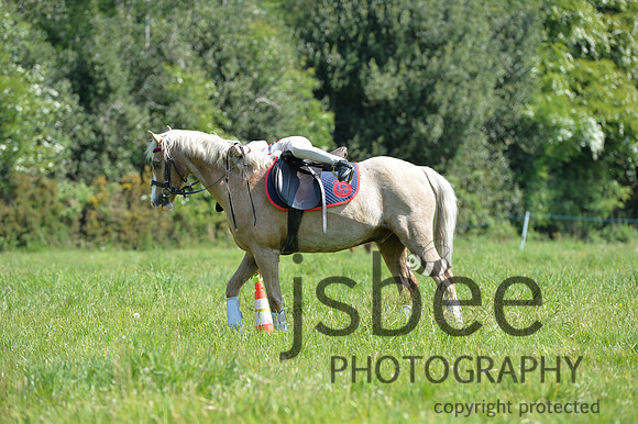 dsb_5994s