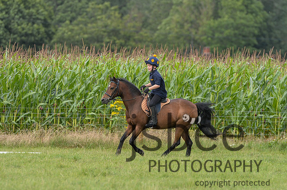 DSB_0310-336