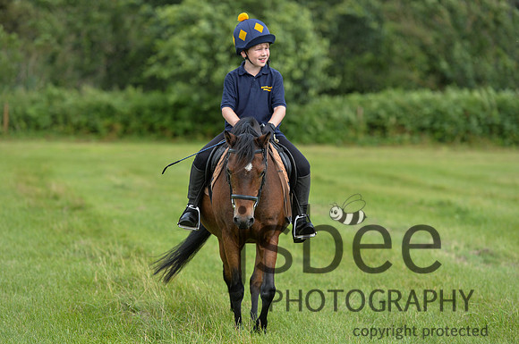 DSB_0318-338
