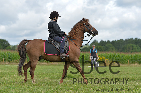 DSB_0095-196