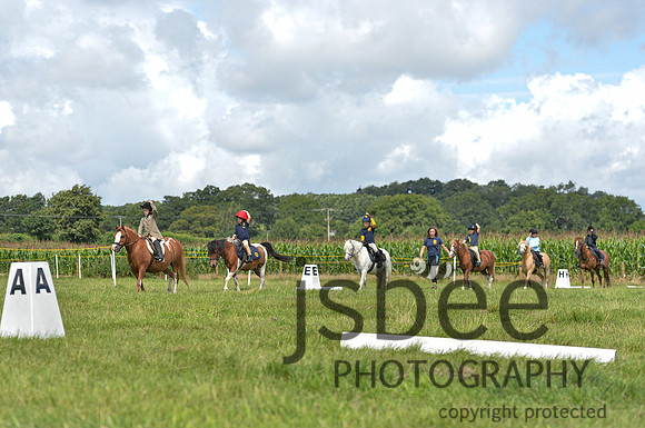 DSB_0096-197