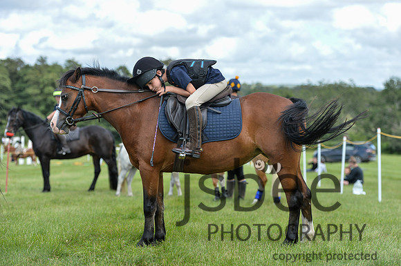 DSB_0461-412