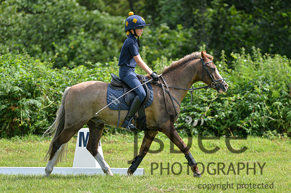 DSB_0065-178