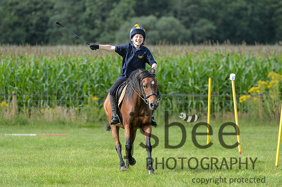 DSB_0646-499
