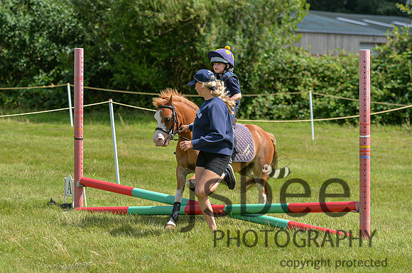 DSB_0201-264