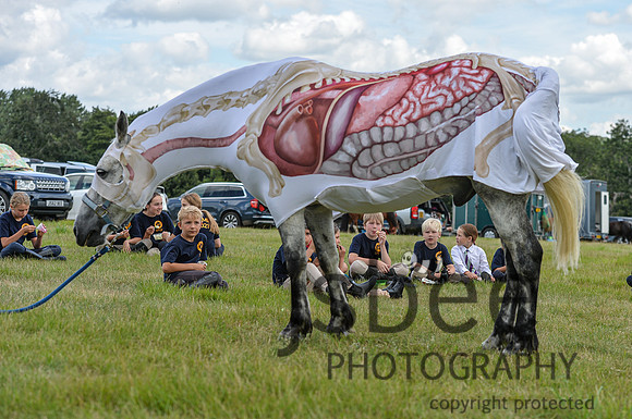 DSB_0962-210