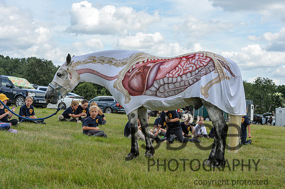 DSB_0964-211