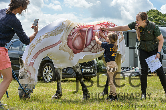 DSB_0977-218