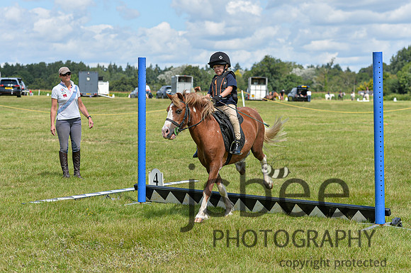DSB_0943-195