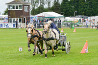 DSC_8988-19
