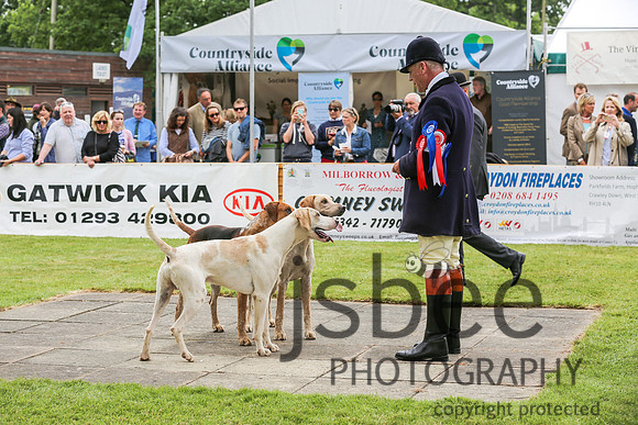 AAJ_4354