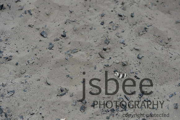 dsb_4846s