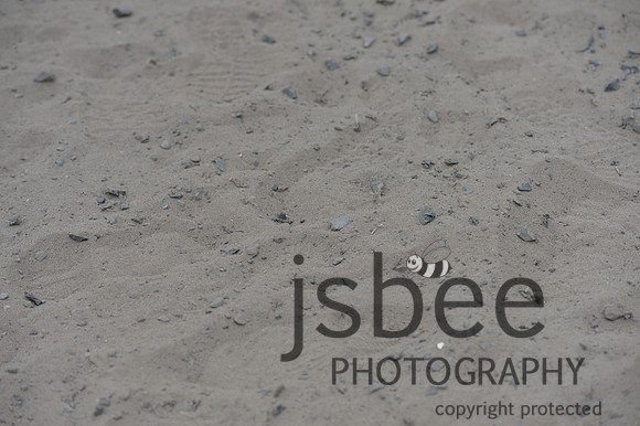 dsb_5303s