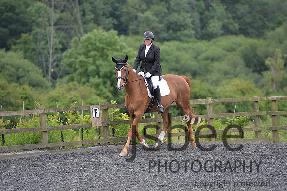 dsb_5439s