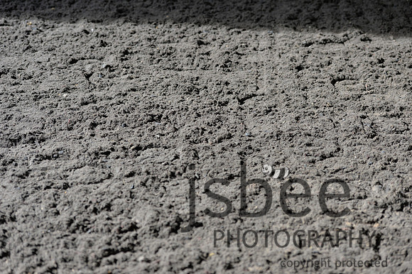 dsb_6526s