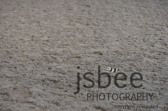 dsb_7243s