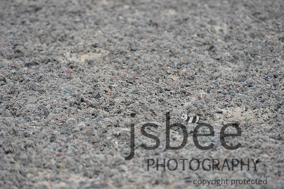 DSB_9006