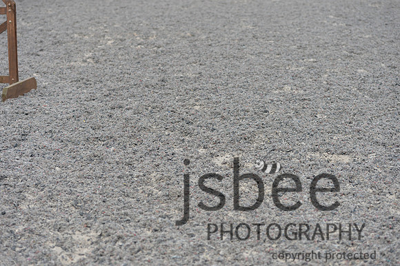 DSB_9068