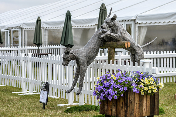 DSB_6354-1