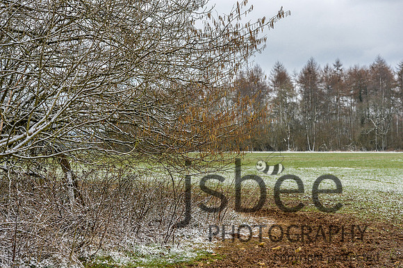 DSB_9693-45