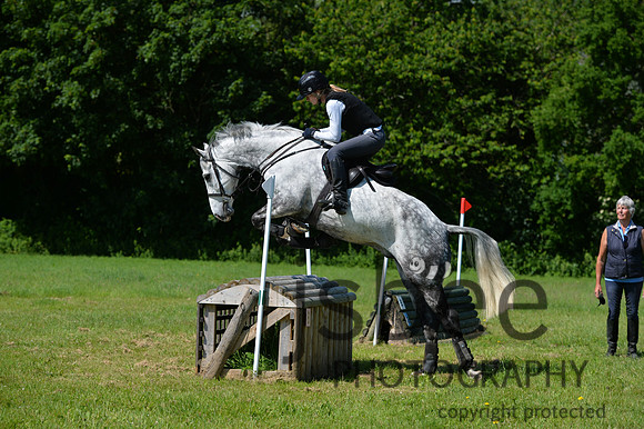 dsb_1341s