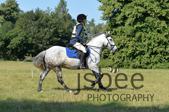 dsb_9561s