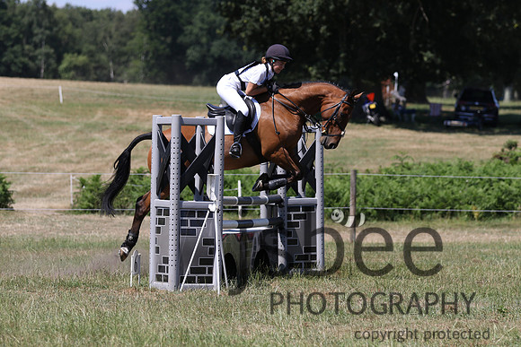 joe_1102c