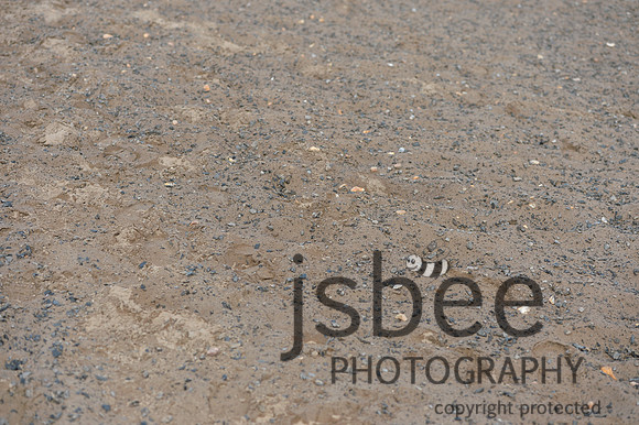dsb_3182s