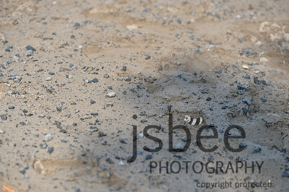dsb_3204s