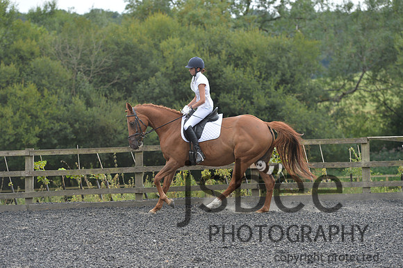 dsb_4473s