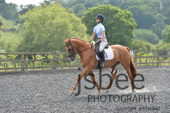 dsb_4492s