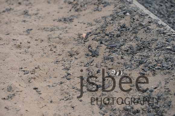 dsb_4531s