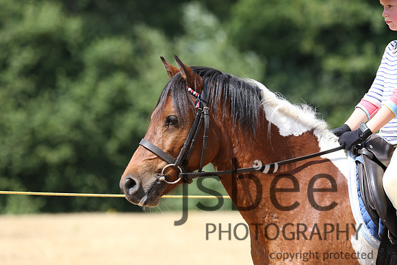 joe_3379j