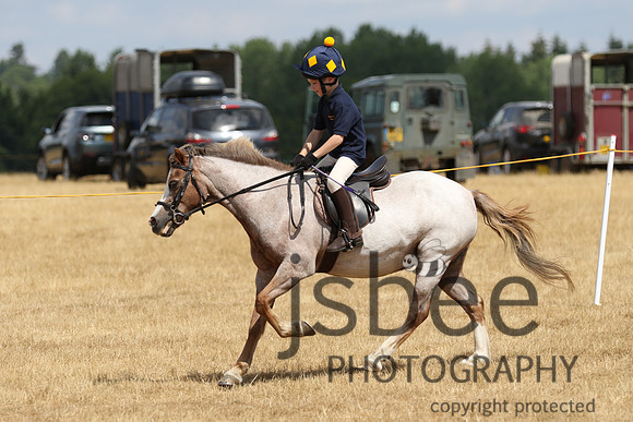 joe_3381j