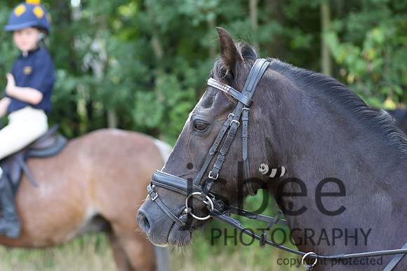 joe_3473j