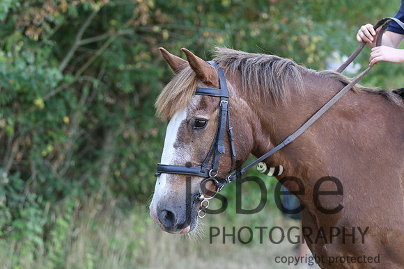 joe_3474j