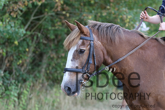 joe_3475j