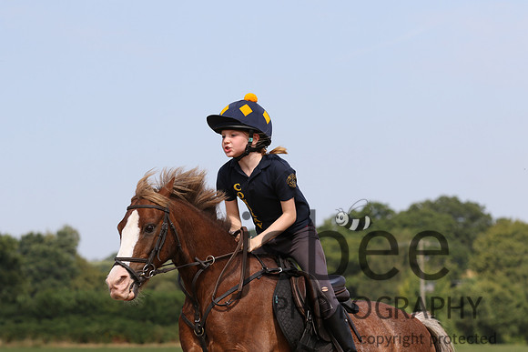 joe_3762j