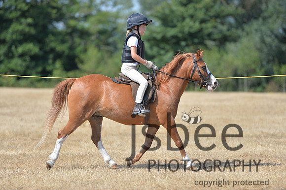 dsb_5563s