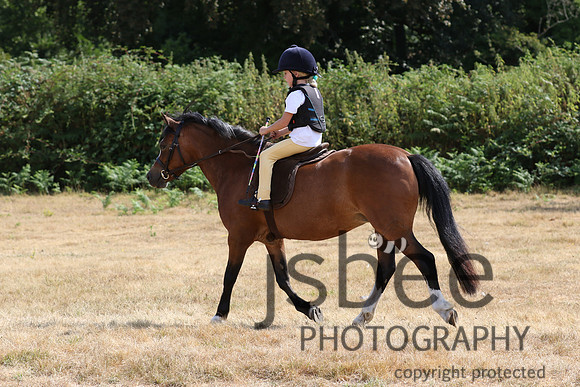 joe_3681j