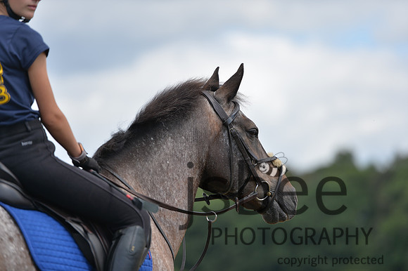 dsb_7758s