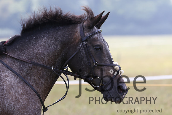 joe_5352j
