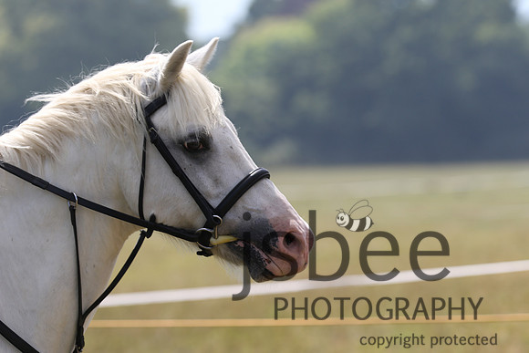 joe_5356j