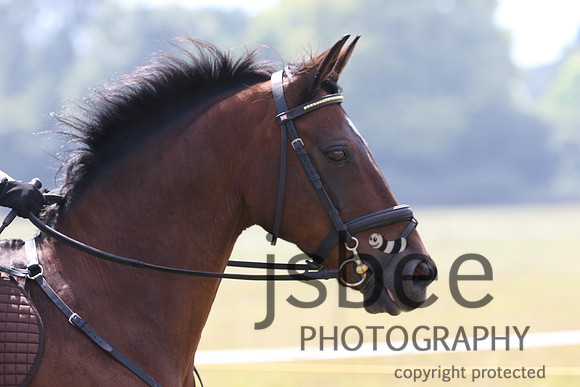 joe_5358j