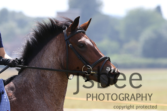 joe_5363j